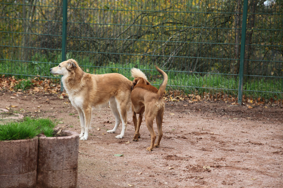 neues Foto November 2025