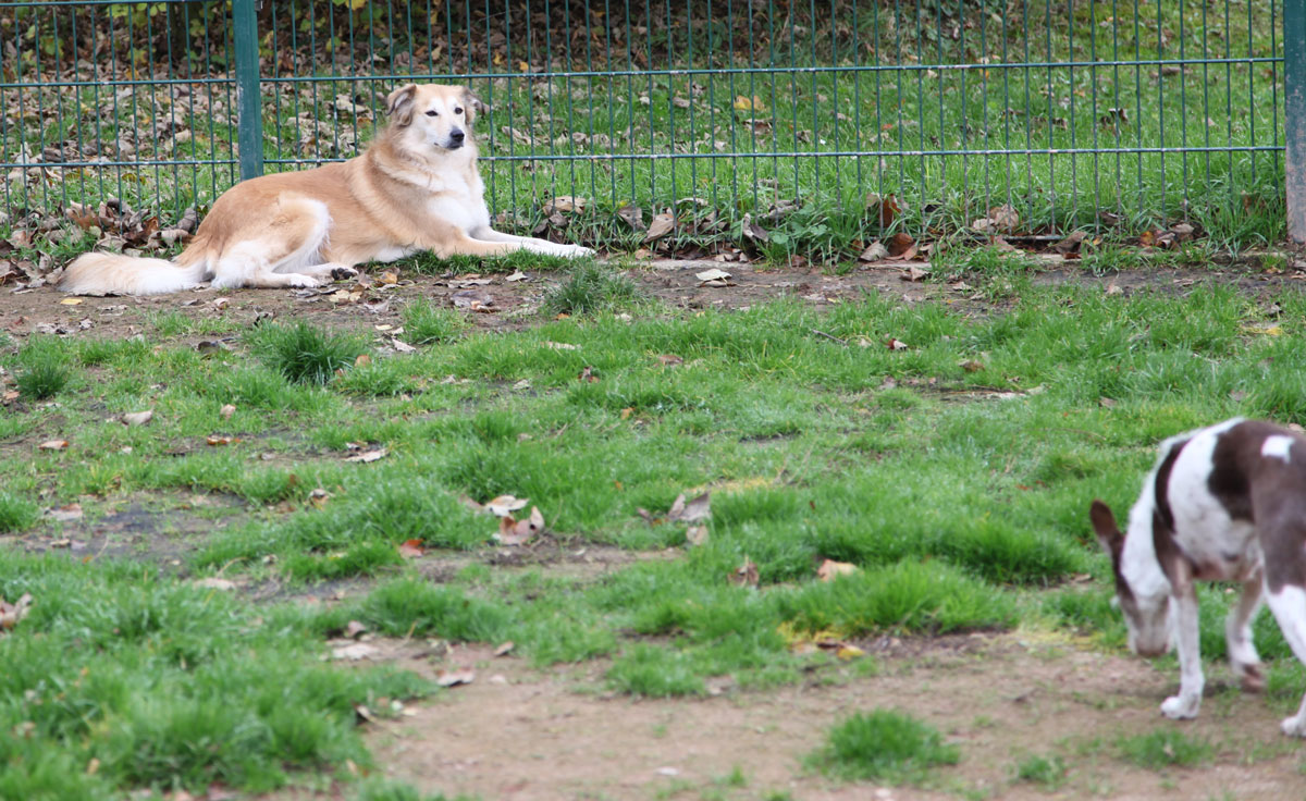 neues Foto November 2025