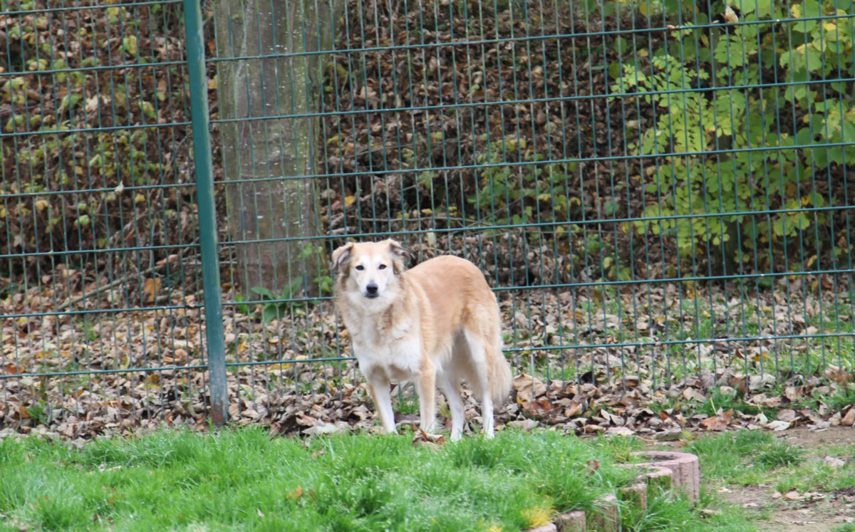 neues Foto November 2025