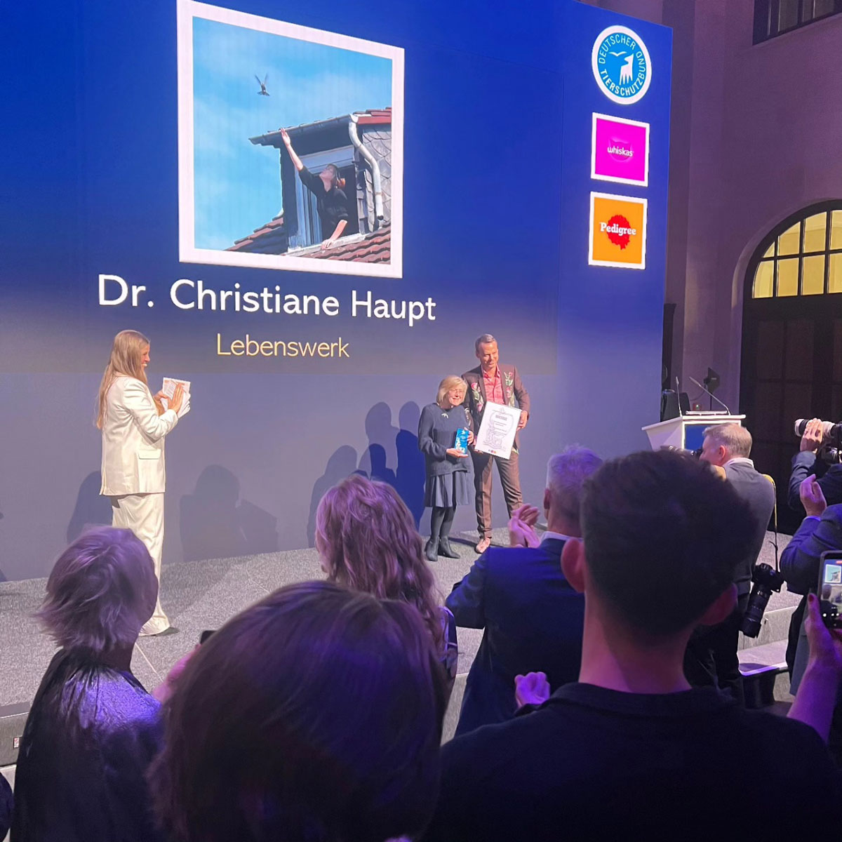 Dr. Christiane Haupt - Lebenswerk