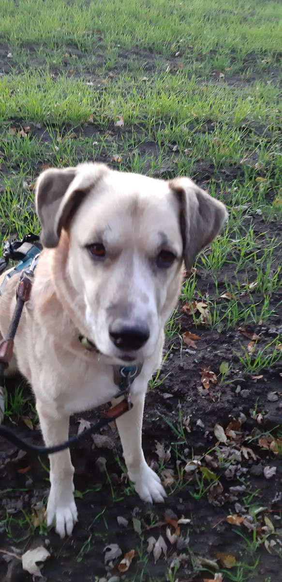 neues Foto Dezember 2025