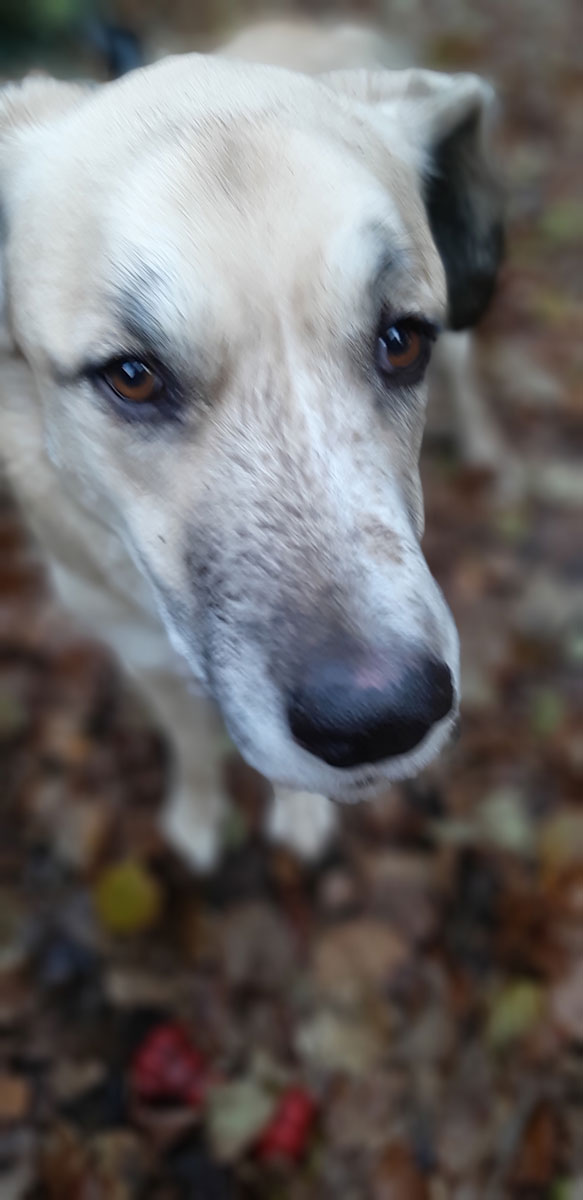 neues Foto Dezember 2025