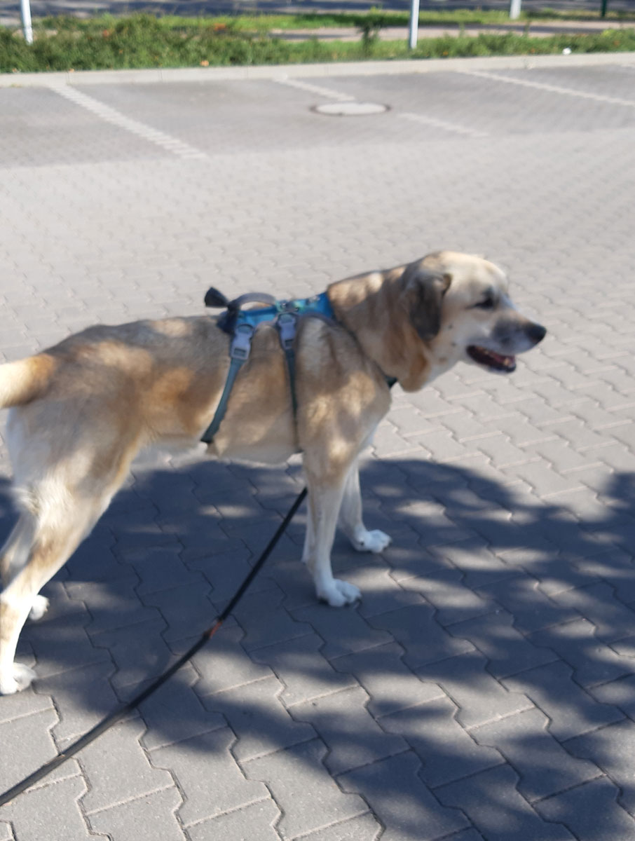 neues Foto Dezember 2025