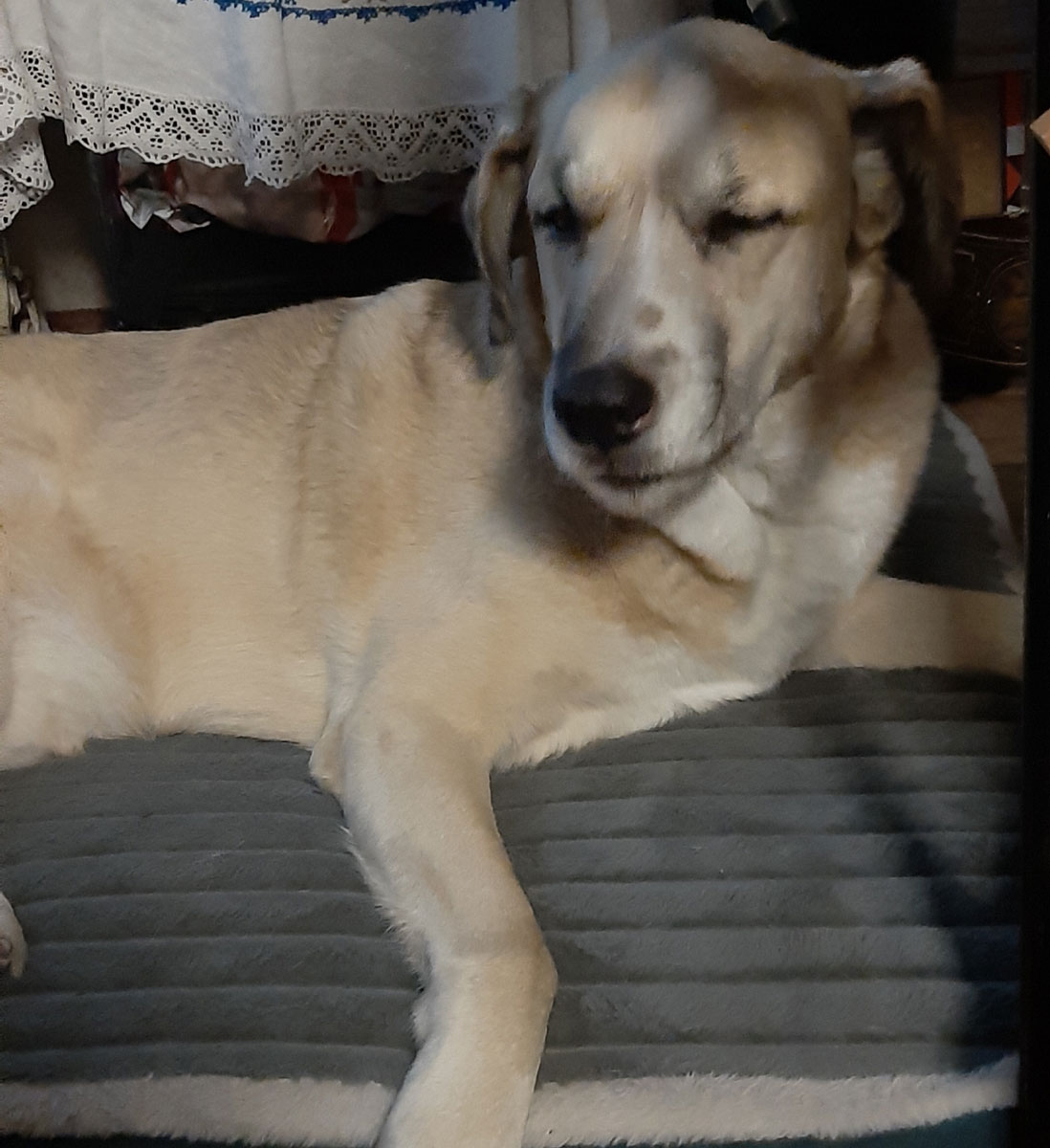 neues Foto Dezember 2025