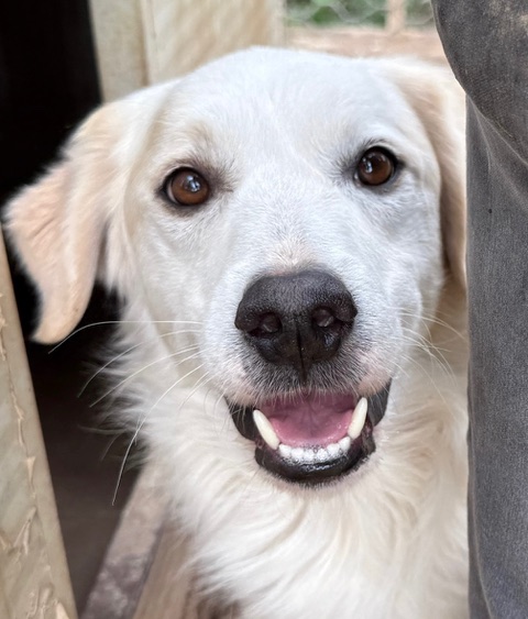 neues Foto Dezember 2025