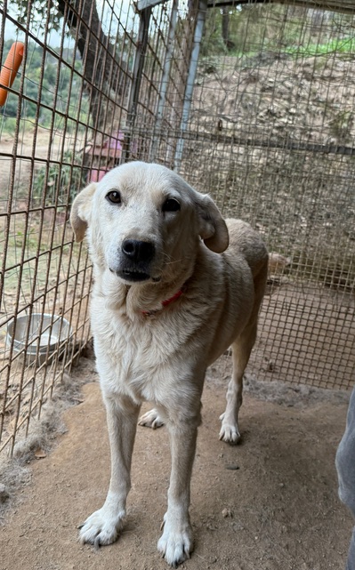 neues Foto Dezember 2025