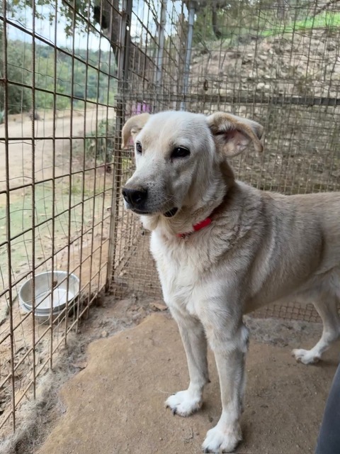 neues Foto Dezember 2025