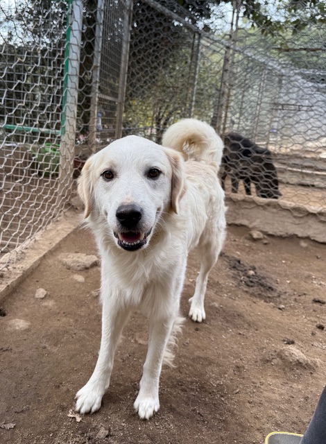 neues Foto Dezember 2025