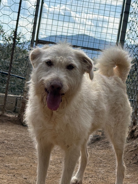 neues Foto Dezember 2025