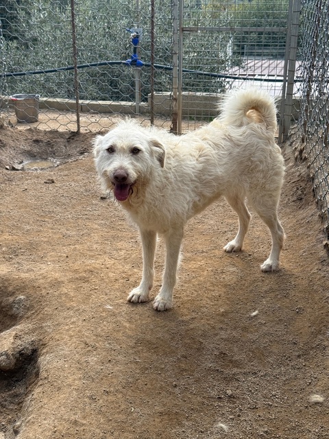 neues Foto Dezember 2025