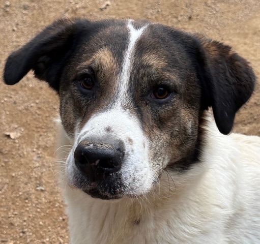 neues Foto Dezember 2025