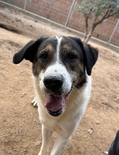 neues Foto Dezember 2025