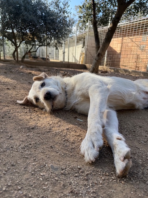 neues Foto Dezember 2025