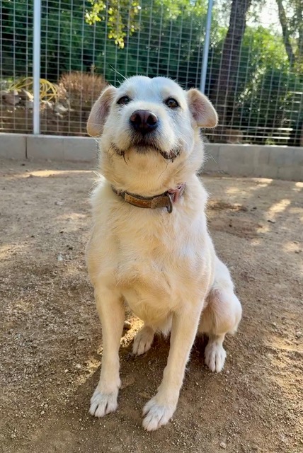 neues Foto Dezember 2025