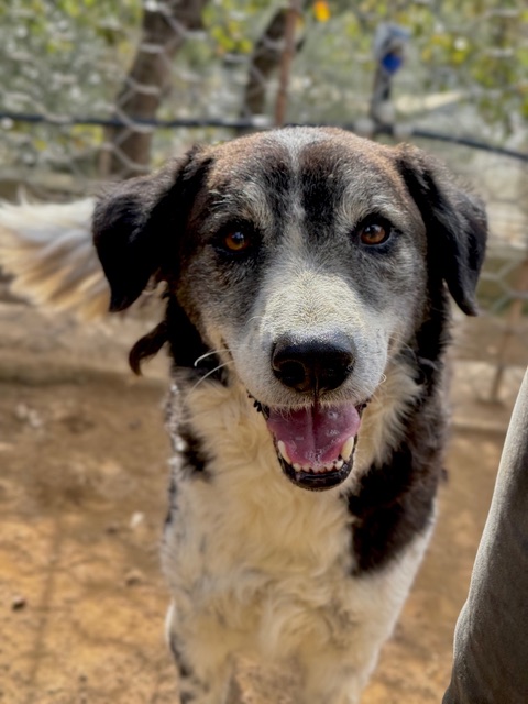 neues Foto Dezember 2025