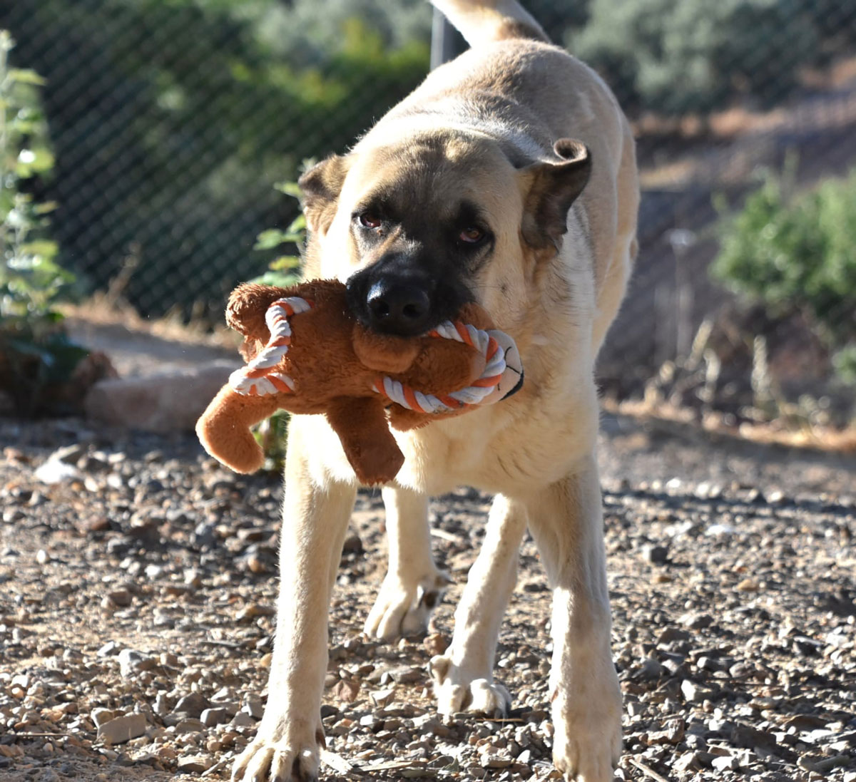 neues Foto Dezember 2025