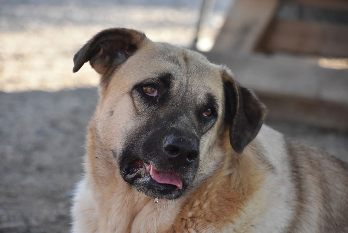 neues Foto Dezember 2025