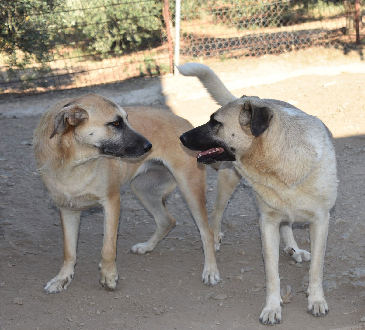 neues Foto Dezember 2025