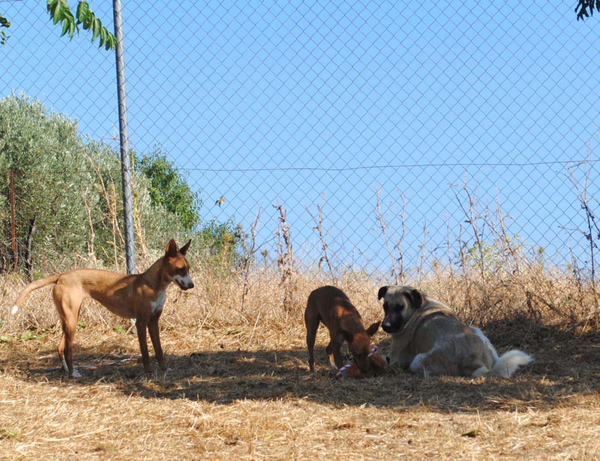 neues Foto Dezember 2025