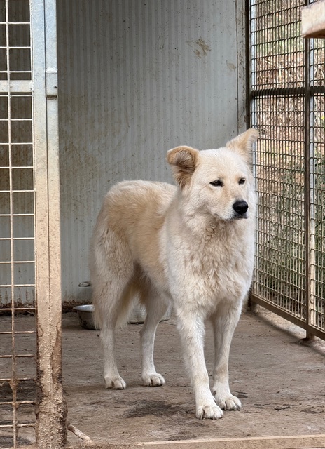 neues Foto Dezember 2025