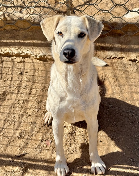 neues Foto Dezember 2025