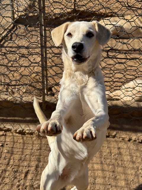 neues Foto Dezember 2025