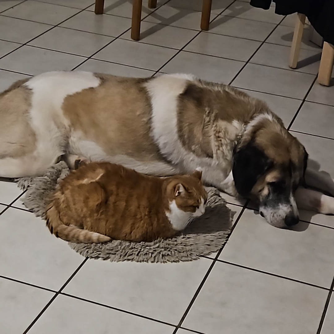 neues Foto Dezember 2025