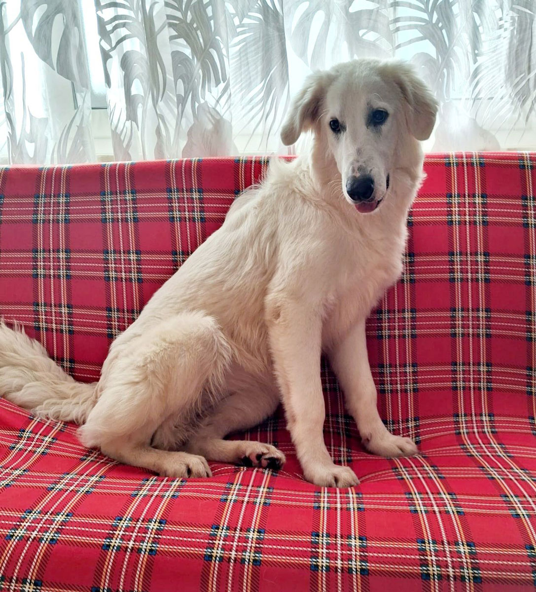 neues Foto Dezember 2025 - Amelie