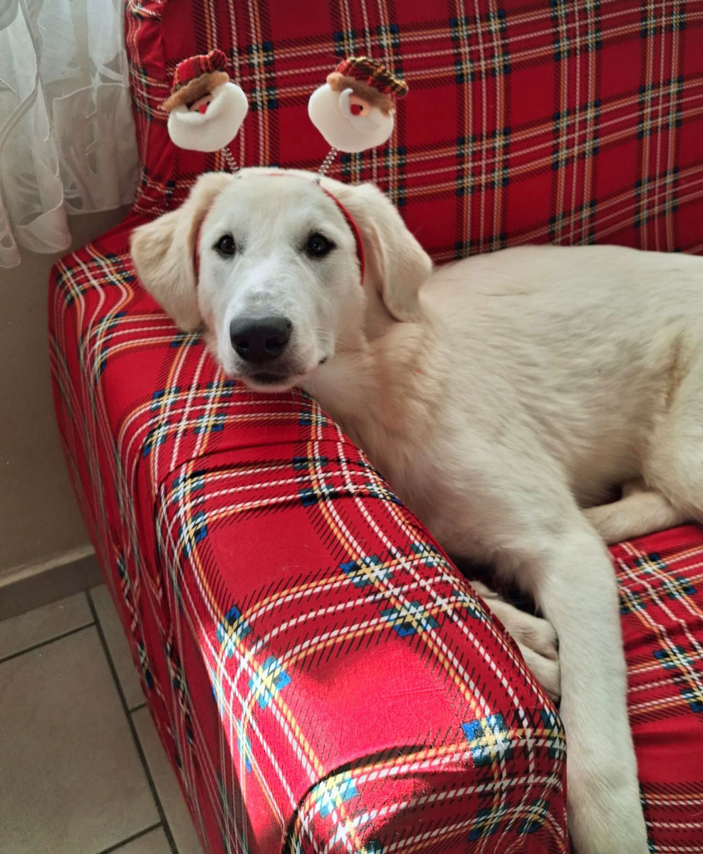 neues Foto Dezember 2025 - Aimee