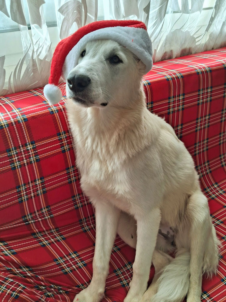 neues Foto Dezember 2025 - Aimee