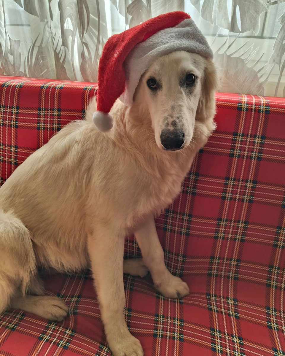 neues Foto Dezember 2025 - Amelie