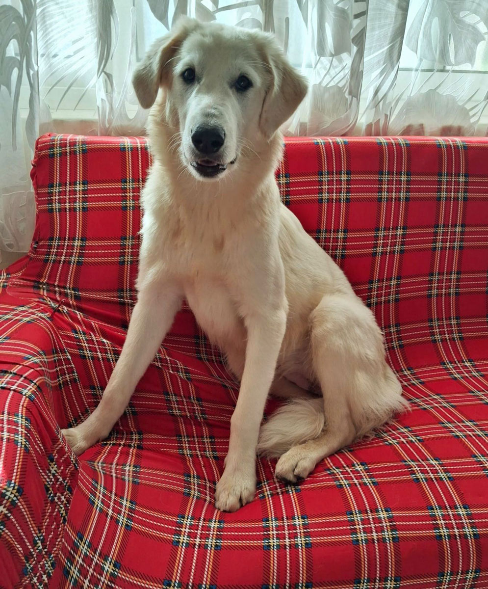 neues Foto Dezember 2025 - Aimee