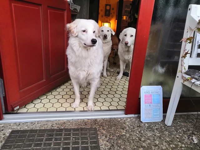 neues Foto Dezember 2025