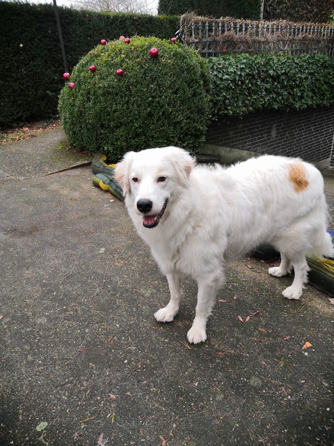 neues Foto Dezember 2025