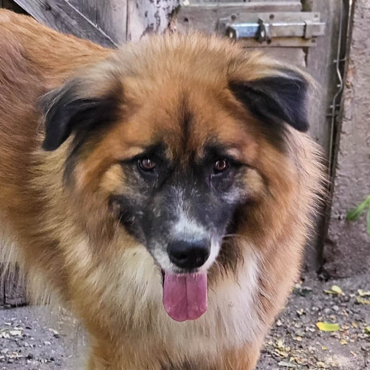 neues Foto Dezember 2025