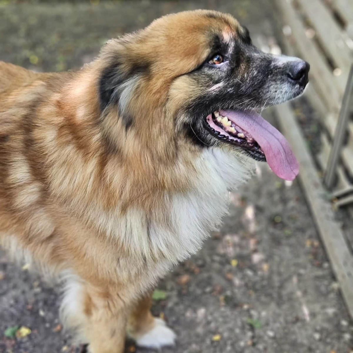 neues Foto Dezember 2025