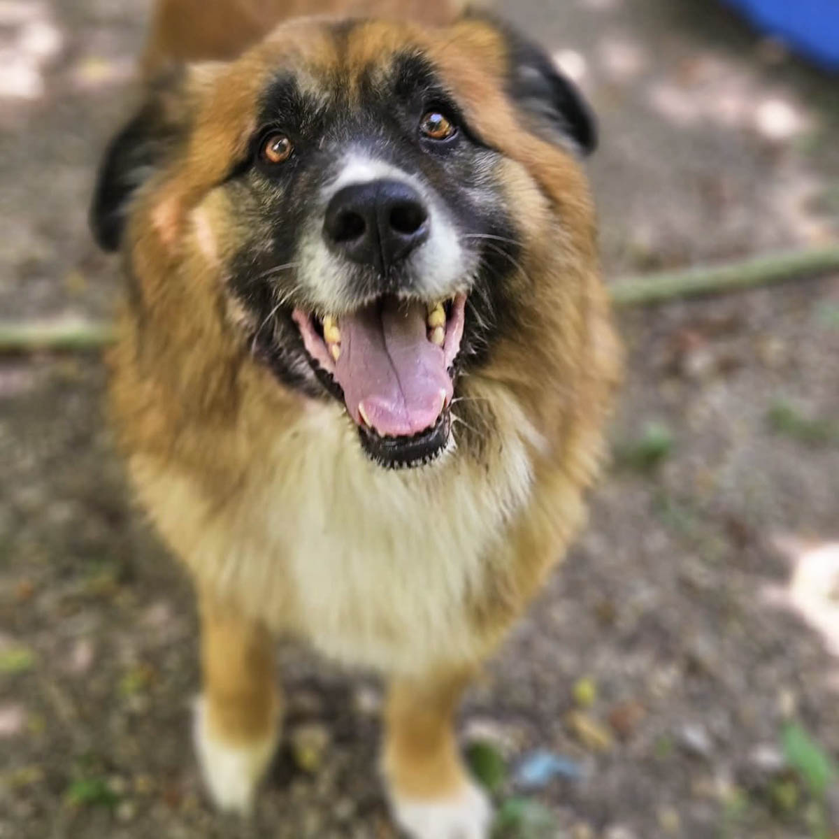 neues Foto Dezember 2025