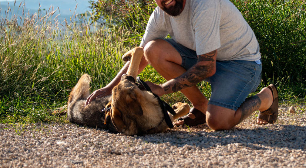 neues Foto Dezember 2025