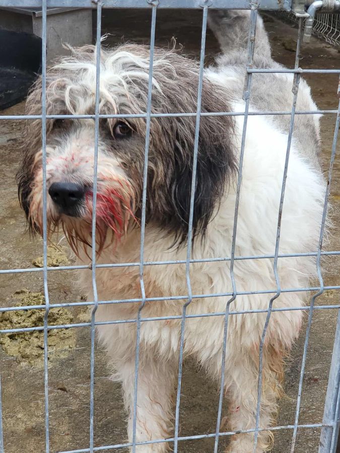 neues Foto Dezember 2025