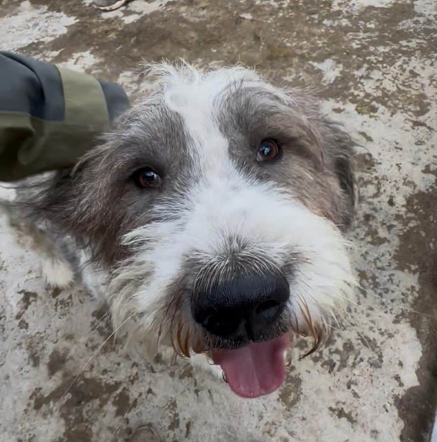 neues Foto Dezember 2025