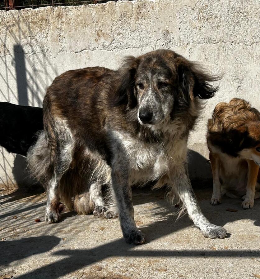 neues Foto Dezember 2025