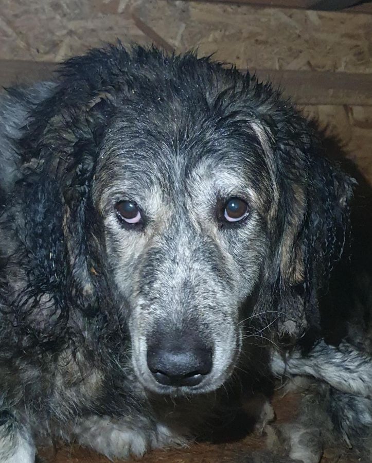 neues Foto Dezember 2025