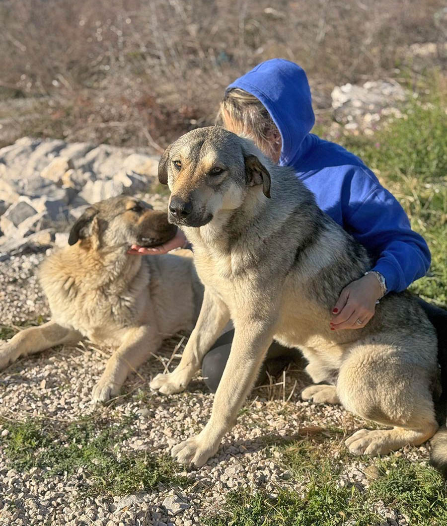 Snicket (re) und Lemonia (li)