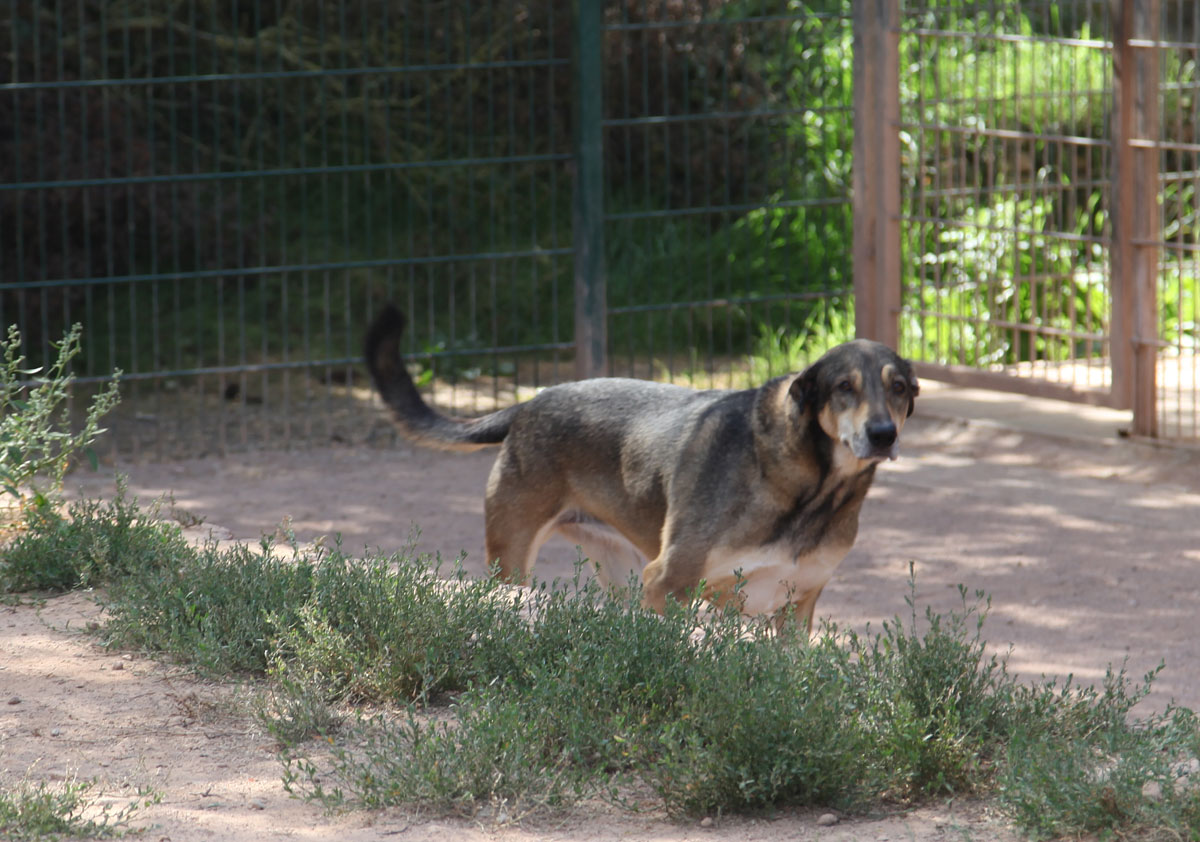 neues Foto Januar 2026