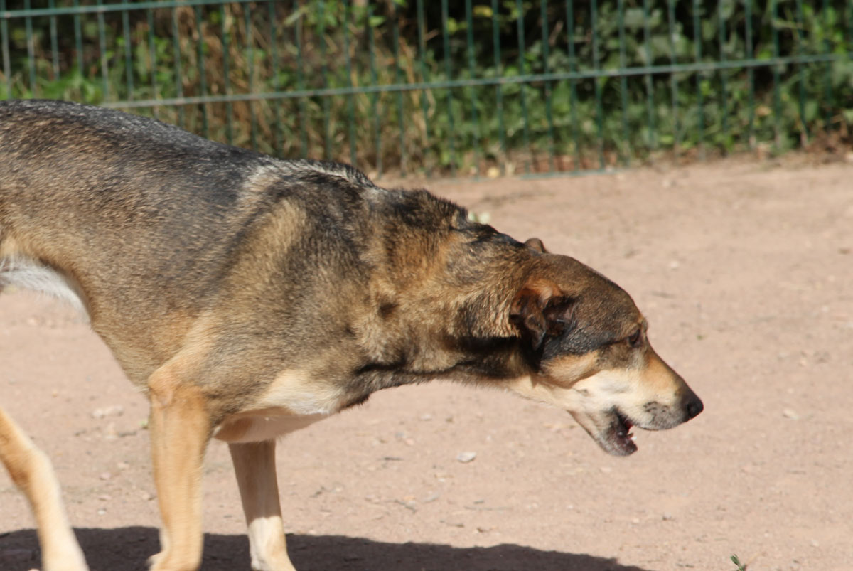 neues Foto Januar 2026