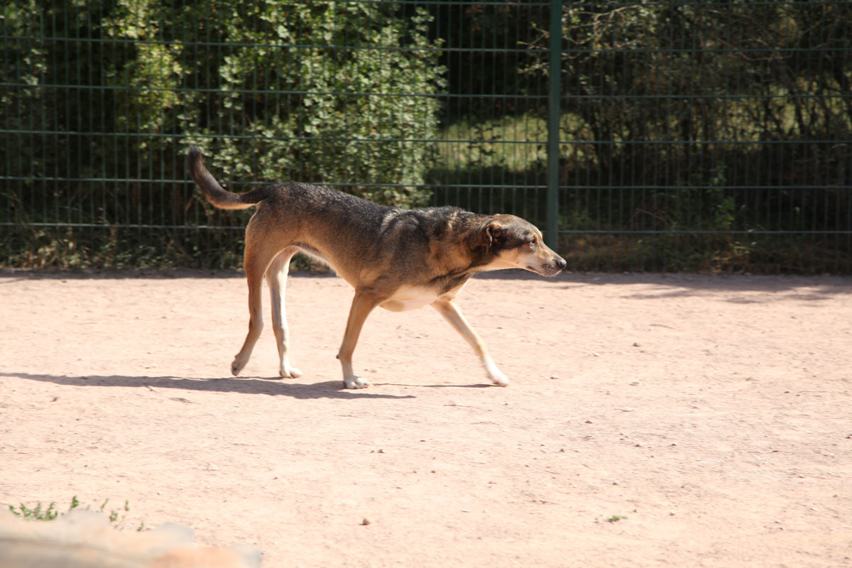 neues Foto Januar 2026