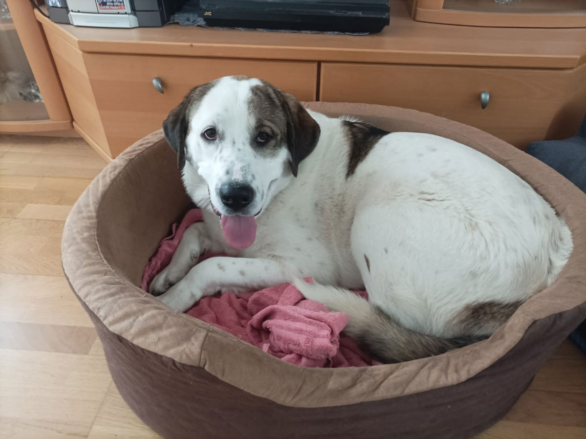 neues Foto Januar 2026 - Max