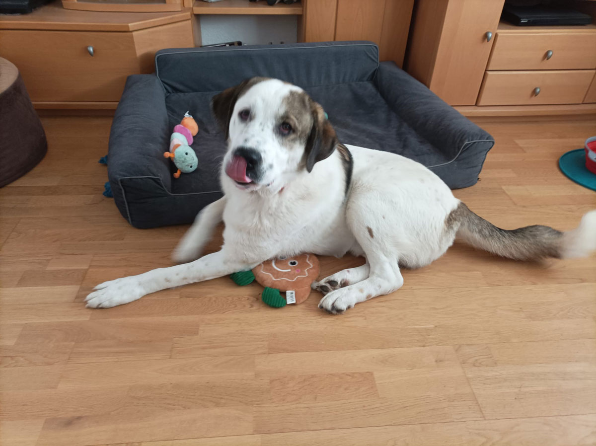 neues Foto Januar 2026 - Max