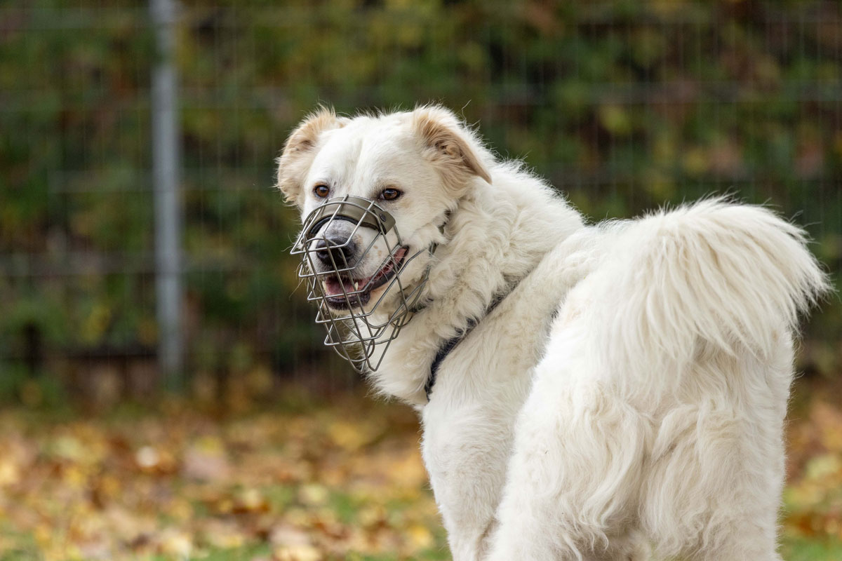 neues Foto Januar 2026