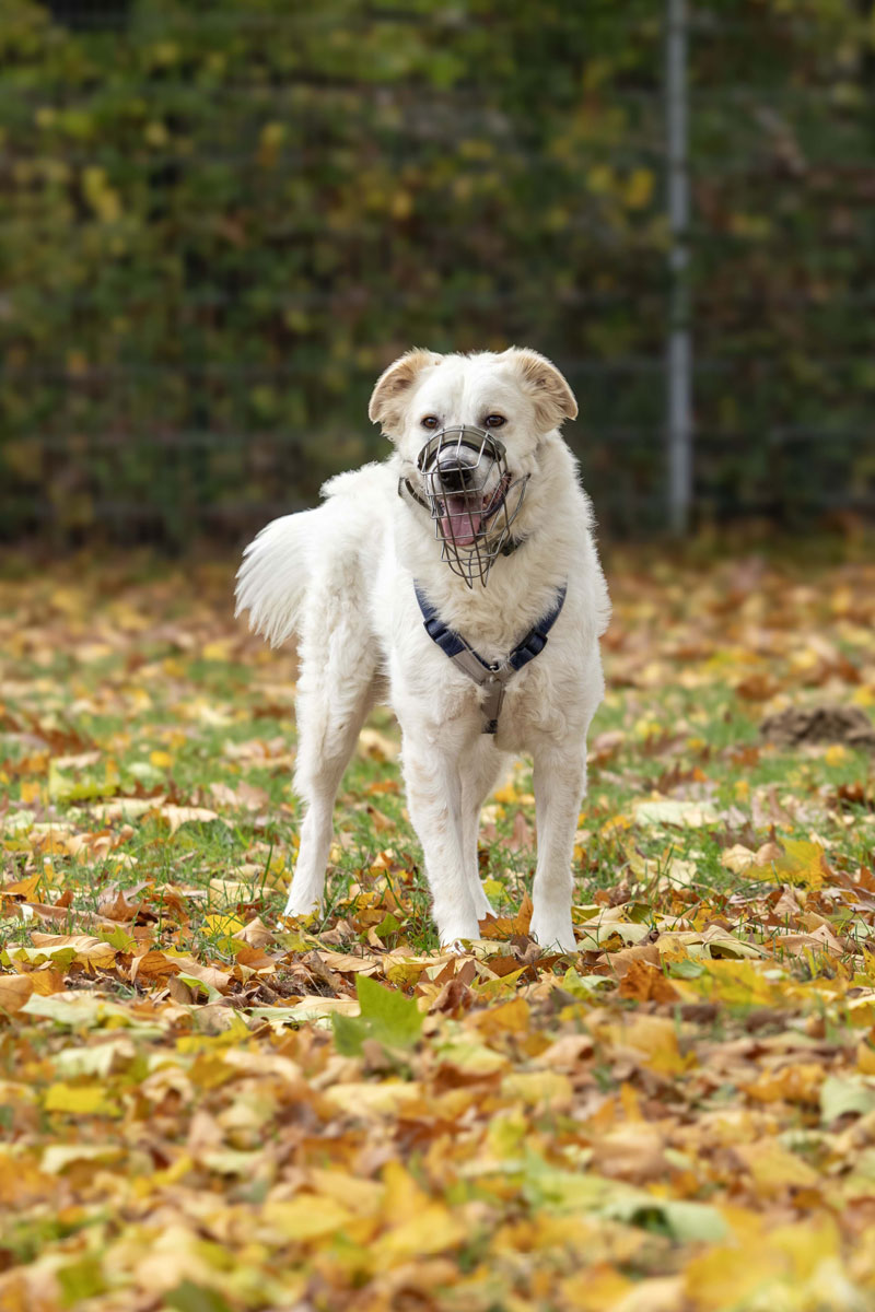 neues Foto Januar 2026